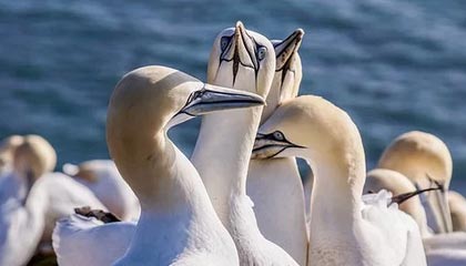 世界杯直播平台官网-北爱赛颜丙涛意外遭“黑马”淘汰 中国军团止步八强